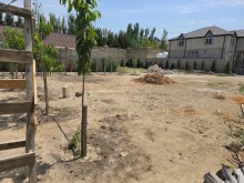 Duz corek restorani ile uzbeuz Şağan qesebesinde Satılır Torpaq, -20