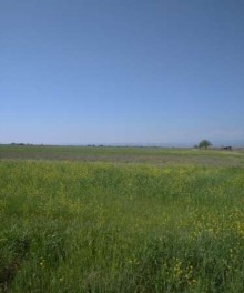 satilir-torpaq-baki-sebail-20-ci-sahe-iceriseher-1762355617-s