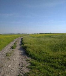 Sabail rayonu 20-ci sahe Satılır Torpaq, -2