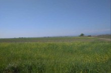 Sabail rayonu 20-ci sahe Satılır Torpaq, -3