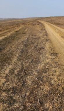 Satılır Torpaq mehdiabad, -7