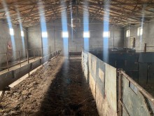 FERMA satılır Pirəkəşkül, -3