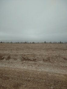 Xızıda Satılır Torpaq, -3