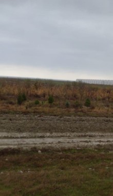 Xızıda Satılır Torpaq, -4