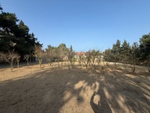 Satılır Torpaq suvelan, -3