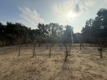 Satılır Torpaq suvelan, -6