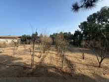 Satılır Torpaq suvelan, -9